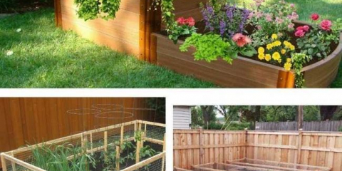 Jak zařídit zahradu v letní chatě: 130 fotografií stylových nápadů na zahradu a zahradní výzdobu v zemi